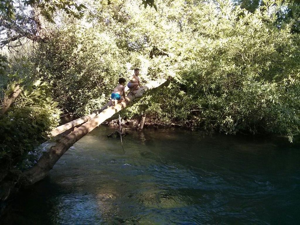 הוילה שאר ישוב נוריאל פירות ואירוח מראה חיצוני תמונה